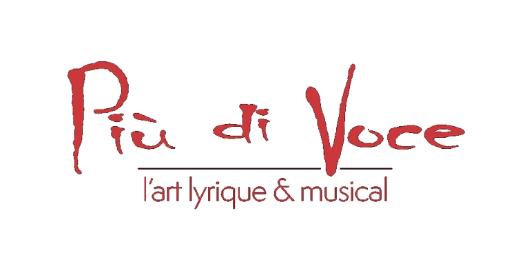 Festival Più di Voce